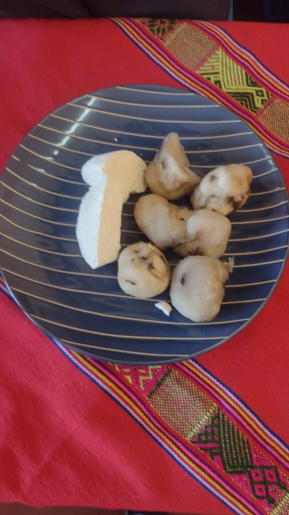 foto gastronomico 67